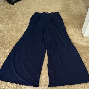 Express Navy Wide-Leg Pants